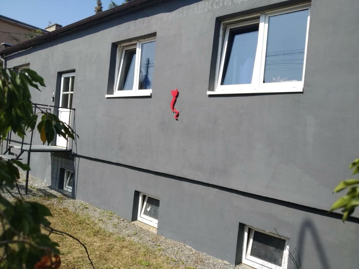 Studio Red Kot Zielona Góra Exterior foto